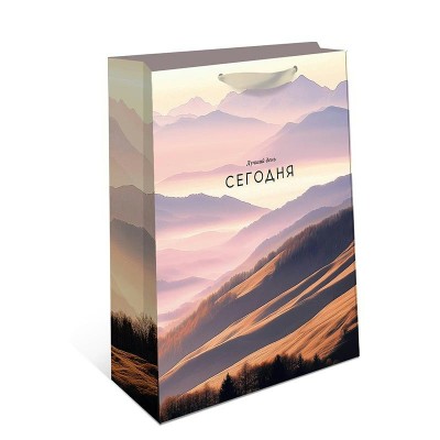 Арт и Дизайн/Пакет бумажный ламинированный. Лучший день сегодня/260 х 320 x 100/1595.202/