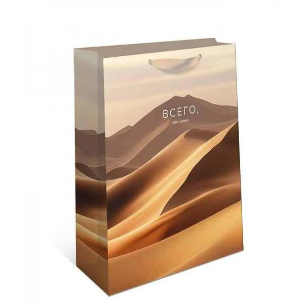 Арт и Дизайн/Пакет бумажный ламинированный. Всего что ценно/180 х 223 x 100/1598.201/