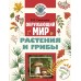 Окружающий мир. Растения и грибы. Энциклопедия. Сивоглазов В.И. АСТ