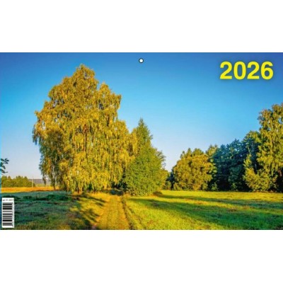 Грамотей/Календарь настенный квартальный 3 блочный 2026. Осень/315 х 640/01-26017/