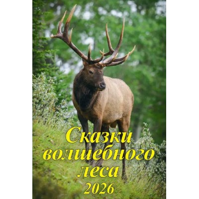 Грамотей/Календарь настенный перекидной на спирали 2026. Сказки волшебного леса/480x320/04-26009/