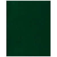 Тетрадь 96 листов А4 клетка Бумвинил зеленый Т4бв96к_12339 BG  357616