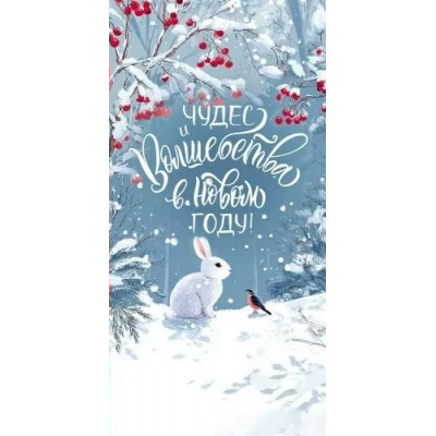 Открытая планета/Конверт для денег. С Новым годом!/90001273/