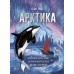 Арктика. О. Рой