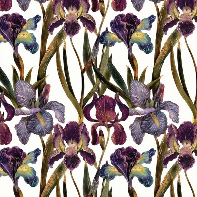 Bruno Visconti/Бумага упаковочная Flora Ирисы, 70 х100 см/2-811/03/ Bruno Visconti/Бумага упаковочная Flora Ирисы, 70 х100 см/2-811/03/