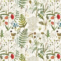 Bruno Visconti/Бумага упаковочная Flora Луговые травы, 70 х100 см/2-811/01/ Bruno Visconti/Бумага упаковочная Flora Луговые травы, 70 х100 см/2-811/01/