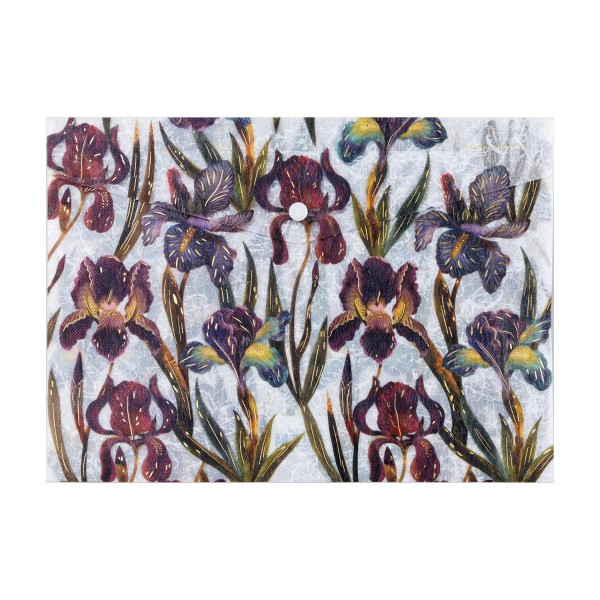 Папка конверт на кнопке А4 180мкм Flora Ирисы полупрозрачная 14-036/18 Bruno Visconti 12/360