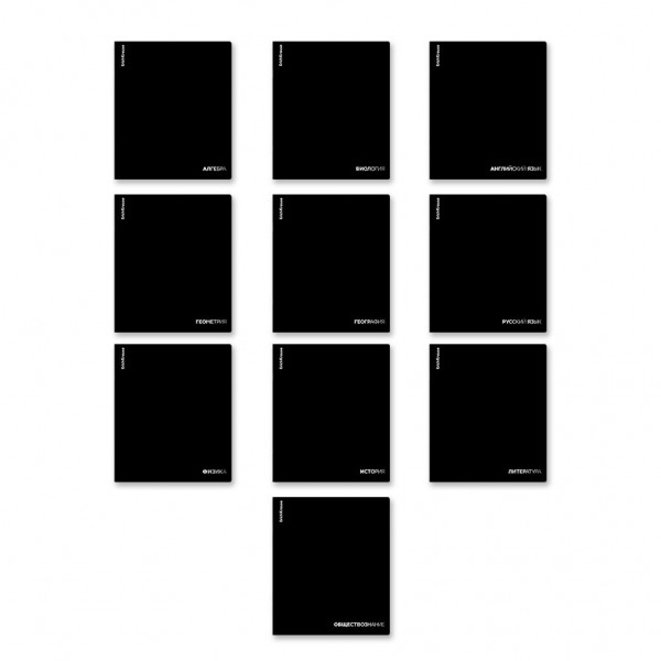 Тетрадь предметная 48 листов А5+ Black Diamond Набор 10шт пластиковая обложка, 60г/м2 65268 ErichKrause