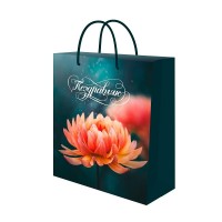 Миленд/Пакет бумажный ламинированный. Поздравляю. Цветок 115 х 145 х 60 мм/ППК-2736/