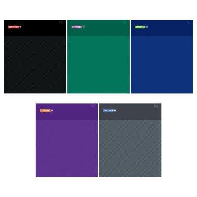 Тетрадь 48 листов А5 линия Моноколор Т5ск48 62714 BG 5/60 372477