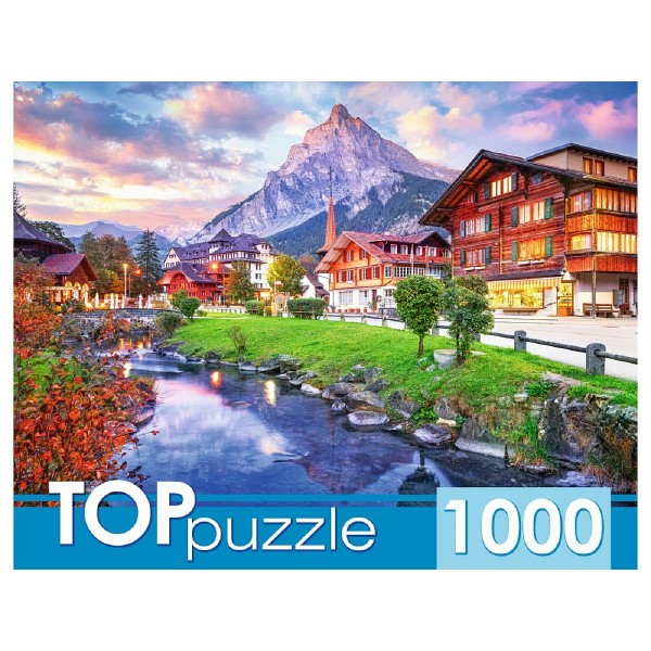 Рыжий кот Пазл 1000 TopPuzzle Город в Швейцарии ШТТП1000-8740 Россия