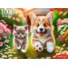 Рыжий кот Пазл 1000  Корги и британский котенок ХП1000-8279 Россия