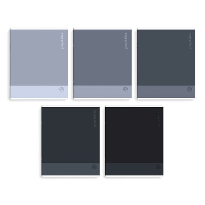 Тетрадь 48 листов А5+ клетка Оттенки серого выборочный твин-лак, 60г/м2 70935 Феникс 5/50 Тетрадь 48 листов А5+ клетка Оттенки серого выборочный твин-лак, 60г/м2 70935 Феникс 5/50