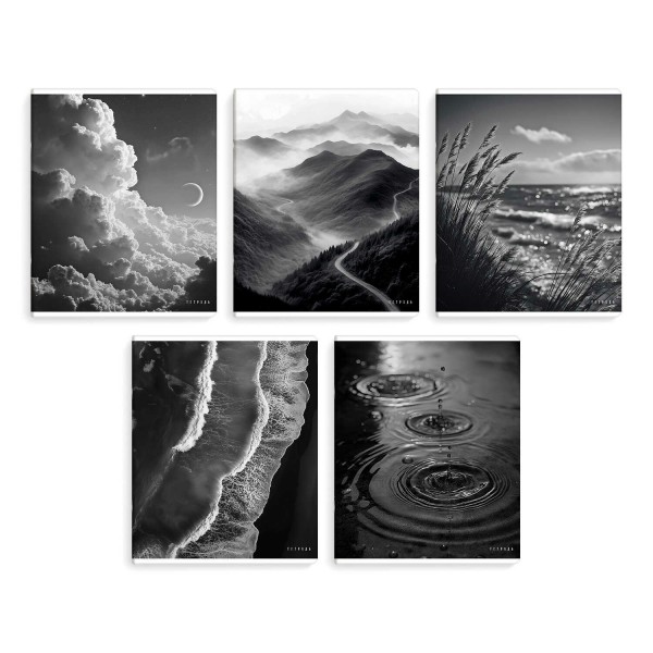 Тетрадь 96 листов А5+ клетка Сила природы матовая ламинация, 60г/м2 70949 Феникс 5/50