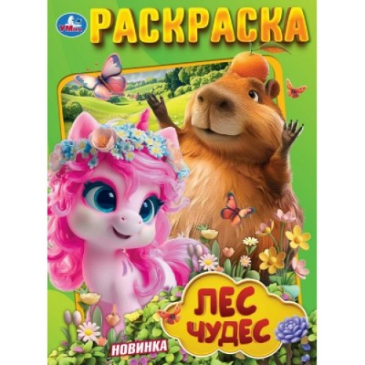 Раскраска. Лес чудес. 