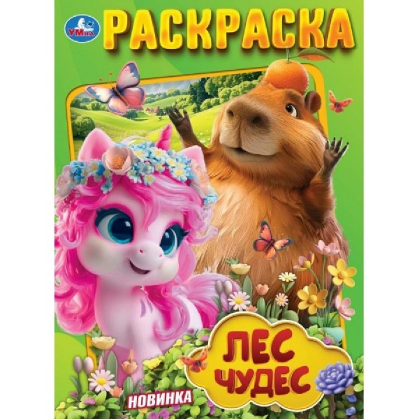 Раскраска. Лес чудес. 