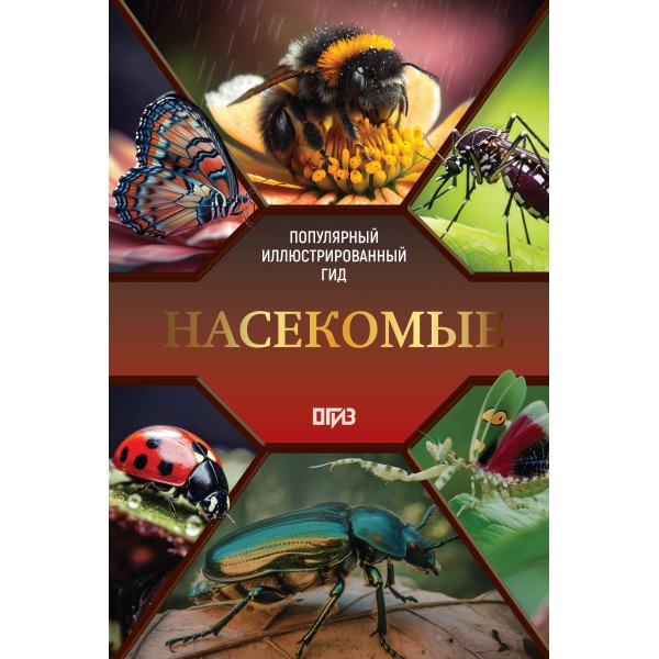 Насекомые. Иллюстрированный гид. Спектор А.А.