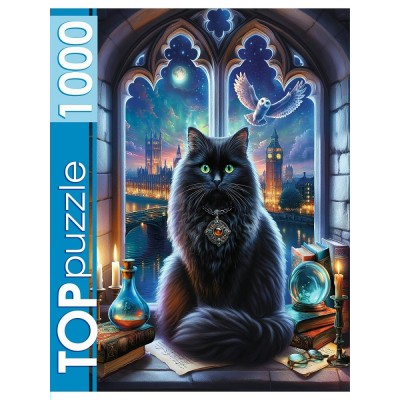 Рыжий кот Пазл 1000 TopPuzzle Магический кот Ф1000-2743 Россия