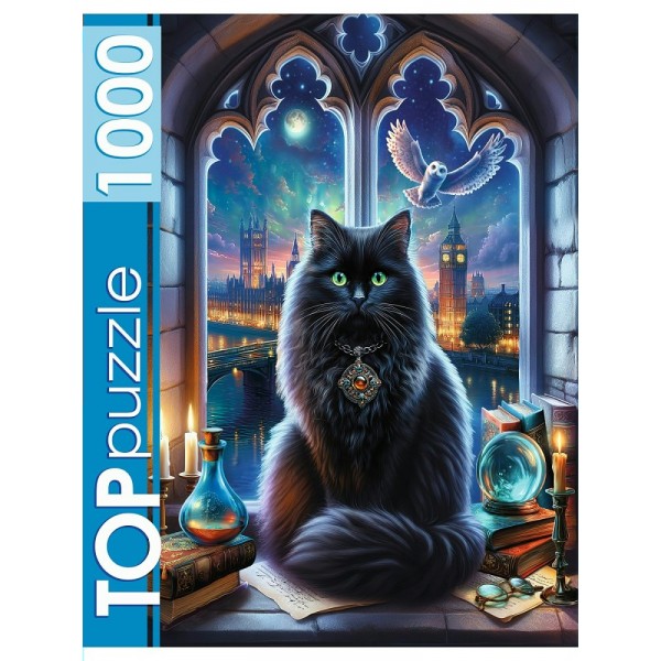 Рыжий кот Пазл 1000 TopPuzzle Магический кот Ф1000-2743 Россия