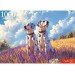 Рыжий кот Пазл 1000  Собаки в поле Ф1000-8732 Россия