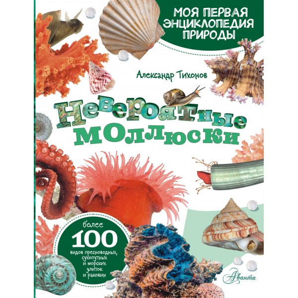Невероятные моллюски. Тихонов А.В.