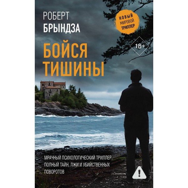 Бойся тишины. Р. Брындза