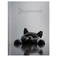 Книжка алфавитная 80 листов 120х150 клетка, твердая обложка Британский кот 65г/м2 74404 Феникс Книжка алфавитная 80 листов 120х150 клетка, твердая обложка Британский кот 65г/м2 74404 Феникс