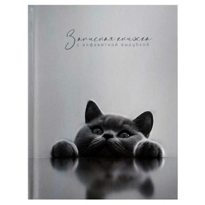 Книжка алфавитная 80 листов 120х150 клетка, твердая обложка Британский кот 65г/м2 74404 Феникс