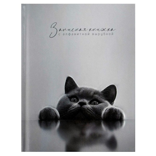 Книжка алфавитная 80 листов 120х150 клетка, твердая обложка Британский кот 65г/м2 74404 Феникс