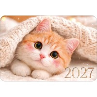 Открытая планета/Календарь карманный 2027. Милый котик/90002247/