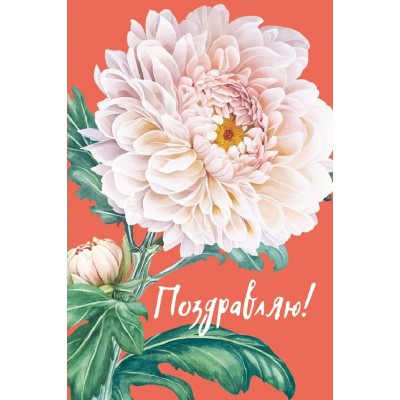 Мир поздравлений/Открытка Поздравляем!/059957/ Мир поздравлений/Открытка Поздравляем!/059957/