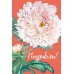 Мир поздравлений/Открытка  Поздравляем!/059957/