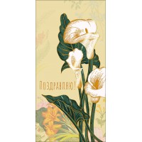 Мир поздравлений/Конверт для денег Поздравляю/075706/
