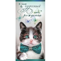 Праздник/Конверт для денег В твой чудесный день рождения/1804317/