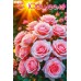 Праздник/Открытка С Юбилеем/50002520/