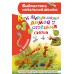 Как Муравьишка домой спешил. Сказки. Бианки В.В.