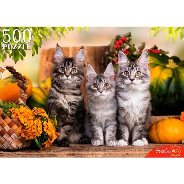 Рыжий кот Пазл 500  Три непоседливых котенка ШТП500-1472 Россия