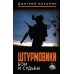 Штурмовики. Бои и судьбы. Д. Воронин