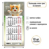 Квадра/Календарь настенный квартальный 3 блочный мини на магните 2027. Кот 108 х 245/9984/