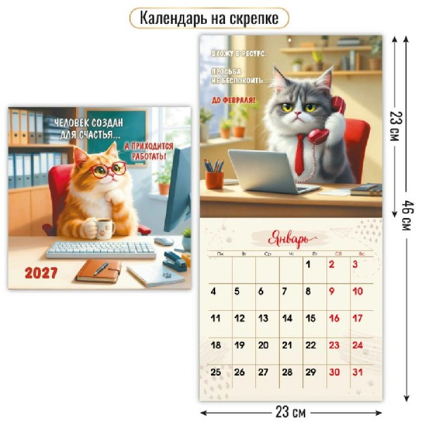 Квадра/Календарь настенный перекидной на скрепке 2027. Кот 230 х 230/10098/