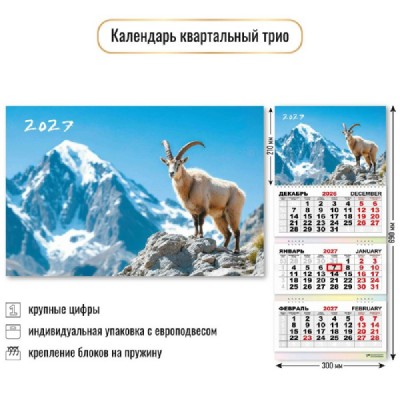 Квадра/Календарь настенный квартальный 3 блочный 2027. Символ года 300 х 690/10015/ Квадра/Календарь настенный квартальный 3 блочный 2027. Символ года 300 х 690/10015/