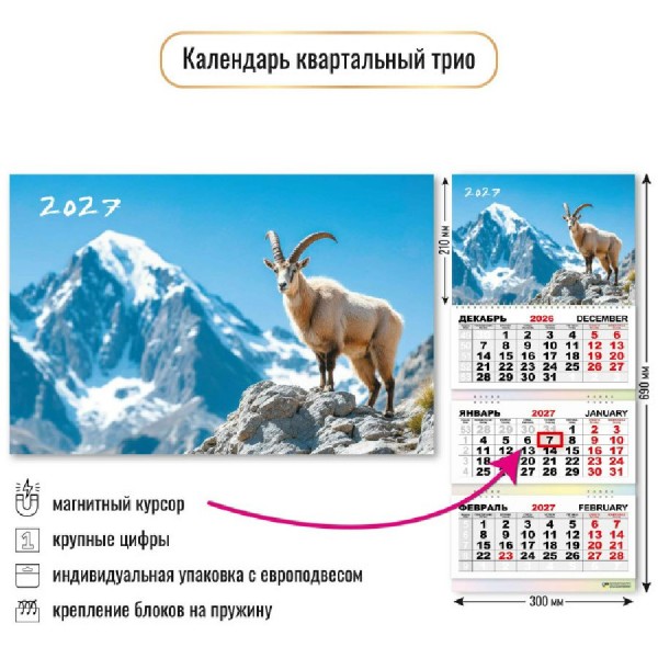 Квадра/Календарь настенный квартальный 3 блочный с магнитным курсором 2027. Символ года 300 х 690/10387/