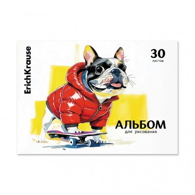 Альбом 30 листов для рисования А4 склейка Cool Skater 100г/м2 64897 ErichKrause 5/30
