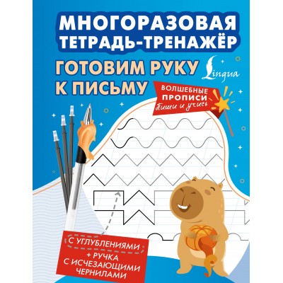 Готовим руку к письму. Многоразовая тетрадь - тренажер. 