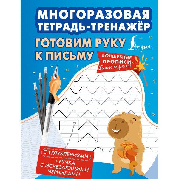 Готовим руку к письму. Многоразовая тетрадь - тренажер. 