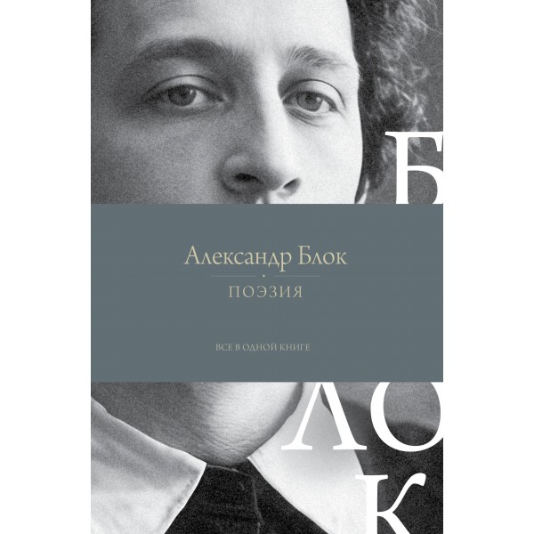 Поэзия. Все в одной книге. Блок А.А.