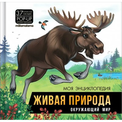 Живая природа. Окружающий мир. 