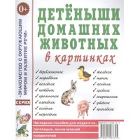Детеныши домашних животных в картинках. 