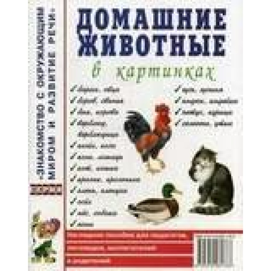 Домашние животные в картинках. купить оптом в Екатеринбурге от 189 руб.  Люмна