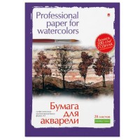 Папка для акварели А3 200г/м2 20 листов Профессиональная Ассорти 4-020 Альт